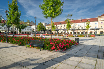 Old Market Square in Łódź with Modern Architecture and Blooming Flower Beds on a Sunny Day © Senatorek