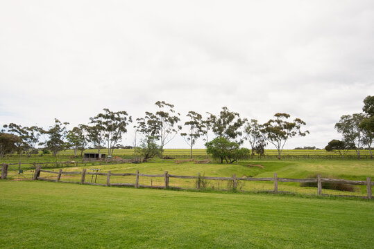 Expansive McLaren Vale vineyard featuring a rustic wooden fence, green lawn, eucalyptus trees, and a small dam under an overcast sky