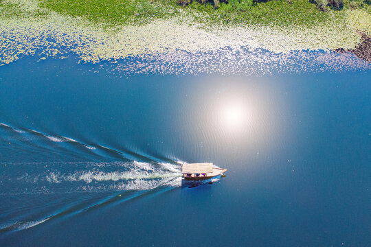 Boat cruising through calm waters of Skadar Lake, sunlight reflecting, surrounded by lush green water lilies