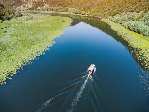 Motorboat making waves, sailing past lush green mountains and vast fields of water lilies on a sunny day in Skadar, Montenegro