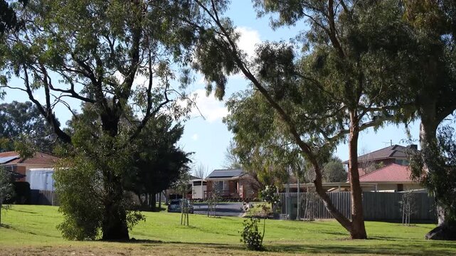 Grassy public park with large eucalyptus treestoward suburban residential homes or houses in Melton, Melbourne, Australia. Peaceful neighborhood with a quiet, relaxed atmosphere