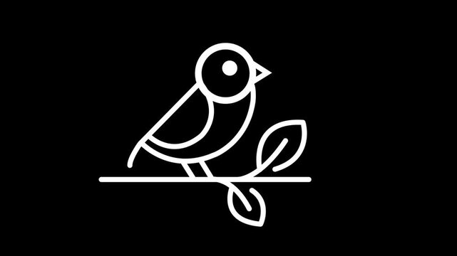 silhouette of a Bird Animation