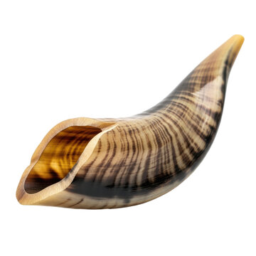 A meticulously crafted ceremonial horn with intricate natural patterns and polished surface against a clean white background