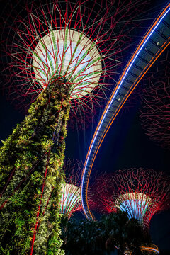 Low angle perspective of the iconic illuminated Supertree Grove structures at Gardens by the Bay in Singapore highlighting futuristic architecture against the night sky.
