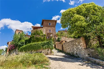 Charming Italian villa in the heart of Tuscany surrounded by vineyards and olive groves with a stunning view © Sergey