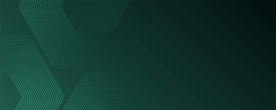 Elegant dark green vector background with subtle geometric hexagon grid lines for corporate banners.