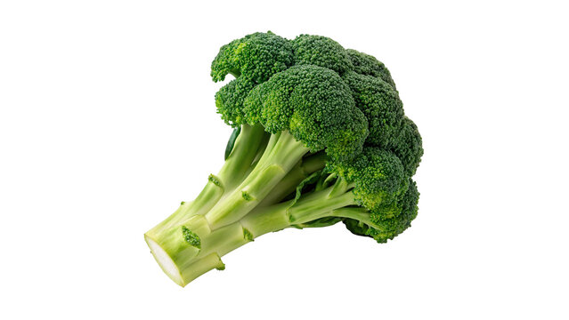 Fresh green broccoli floret raw vegetable isolated on transparent background cut out