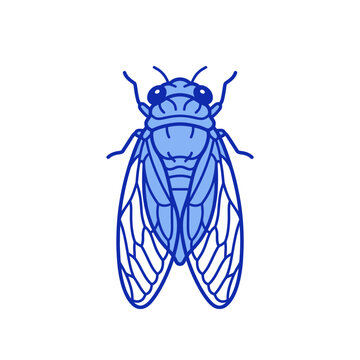 A minimalist blue icon of a cicada insect viewed from above as a simple vector illustration design