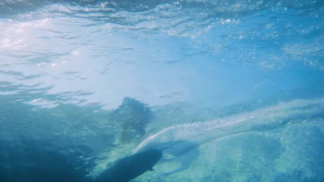 underwater view of a surfer catching a wave in crystal cleear water