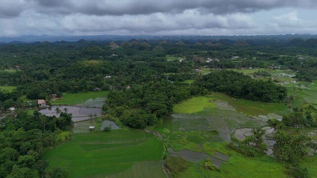 Aerial View of the Chocolate Hills in Bohol