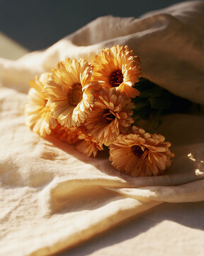Dried calendula flowers on cream linen in soft sunlight still life