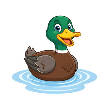 Cheerful cute cartoon mallard duck swimming in blue ripples isolated as a vector on transparent background