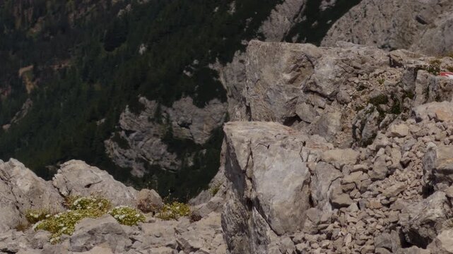 Two Alpine choughs compete for a piece of food on a rocky mountain ledge, with one bird spreading its wings during the confrontation.