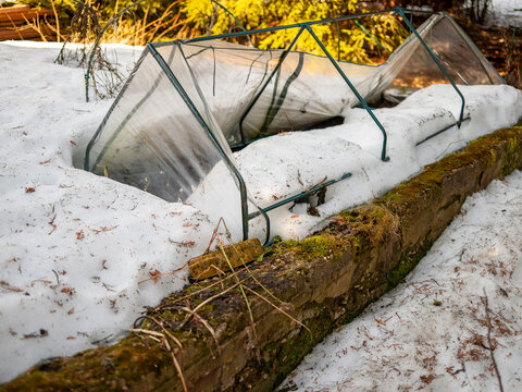greenhouse damaged by snow