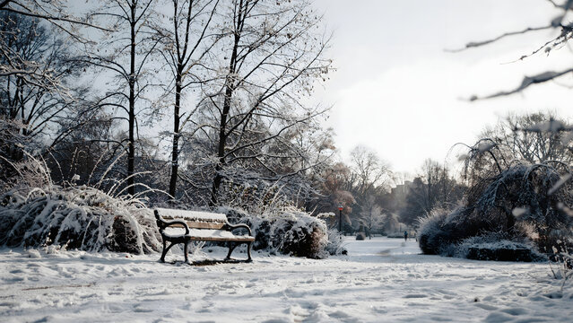 A lonely metal park bench sits in a snow covered park surrounded by bare winter trees under a bright overcast sky in the cold season