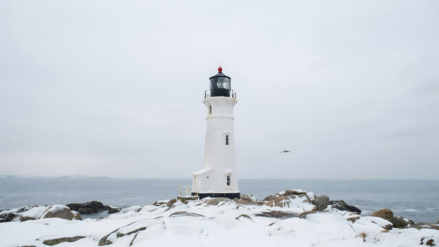 A white lighthouse on a snowy rocky shore by the sea under a gray cloudy sky with a bird flying in the distance during winter
