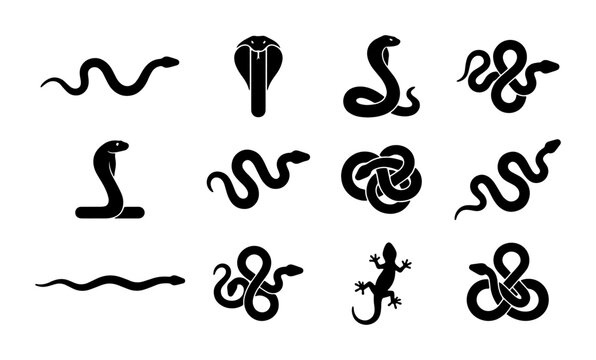 Black snake silhouette icons set, minimalist reptile and cobra vector illustrations, 12 wild animal symbols for logo design and branding