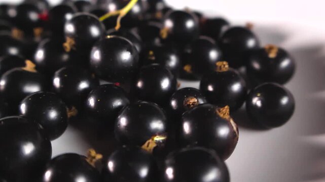 Macro shot of ripe organic blackcurrant berries slowly gliding on a white plate, highlighting their glossy texture and rich color, perfect for healthy eating and antioxidant concepts