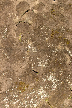Weeds on Concrete Cracks