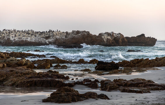 beautiful rugged rocky coastline of Kammabaai Beach, Hermanus, South Africa at sunset and dusk