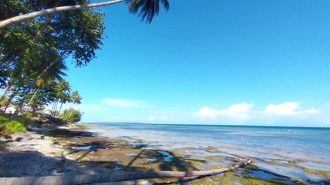 Tropical Coconut Palm Beach on Biak Island, Papua, Indonesia with Crystal Clear Ocean