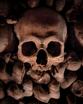 Human skull embedded in a wall of ancient bones, dramatically lit against darkness in the Catacombs of Paris underground ossuary
