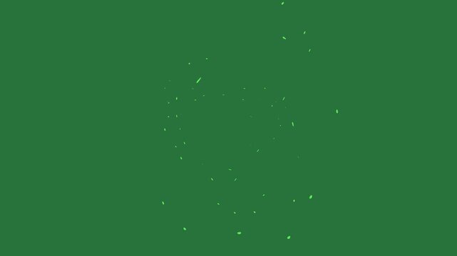 Clock Professional on Green Screen Chroma Key Background