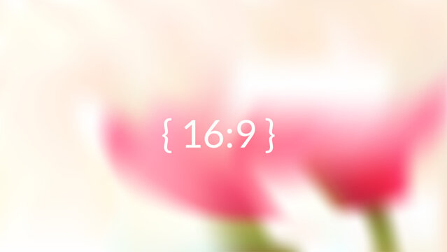 Blur floral background with soft focus shadow flower and spring bloom. Pink gentle rose and delicate blurred vibe for beauty promo design. Vector tulip flowers banner with pastel ethereal aesthetic bg