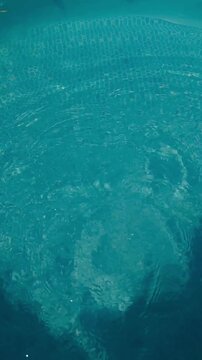 Water drops creating circular ripples on turquoise swimming pool surface in slow motion.