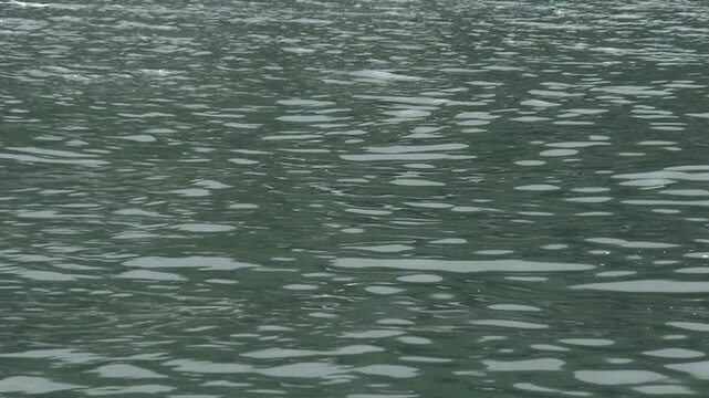 Footage panning up from the water's surface to the *funaya* (boathouses) in Ine Town, Kyoto Prefecture.