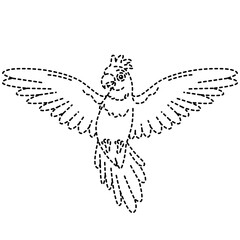 Cute cockatoo bird flying with detailed wings in dotted vector outline style. © The Creative Idea