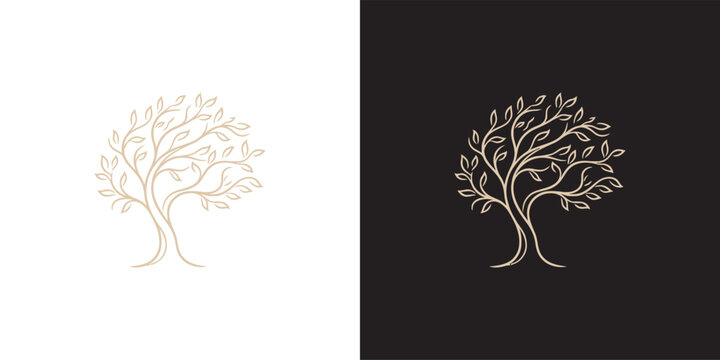 Elegant Stylized Tree of Life Logo Illustration with Golden Lines on White and Black Backgrounds for Branding