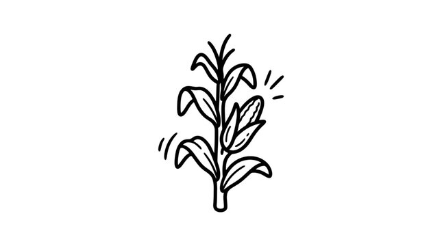 Hand-drawn corn stalk plant icon.