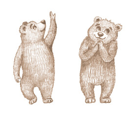 A set of pencil illustrations featuring bear cubs. These cute little ones are hand drawn in a children's style, perfect for posters, greeting cards, and textiles. © andrey