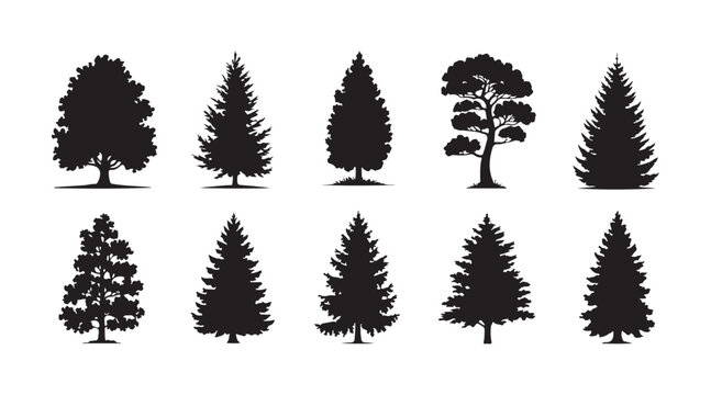 Set of ten forest trees black silhouettes, evergreen spruce and pine trees, oak, birch, aspen and maple.