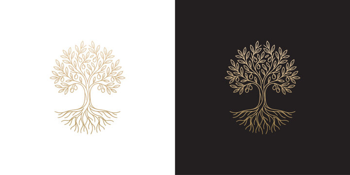 Golden olive tree of life logo design with roots elegant luxury line art emblem vector illustration