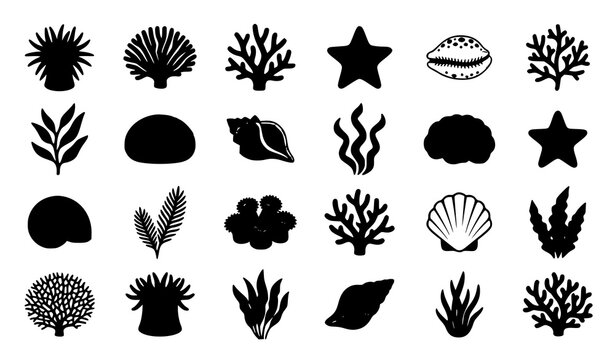 Collection of hand drawn black silhouettes of sea life including corals shells starfish and aquatic plants