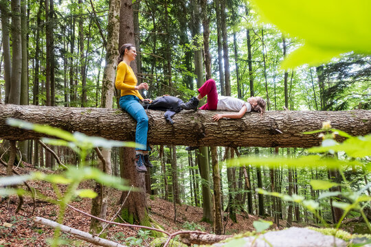A mother and daughter take a break on a tree trunk while hiking