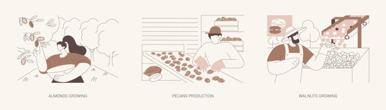 Growing nuts isolated cartoon vector illustrations se