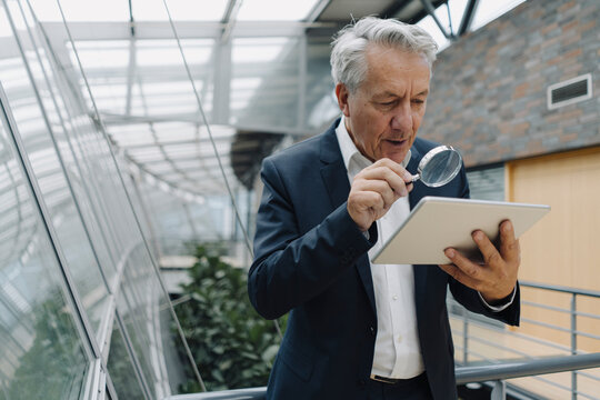 Senior businessman with magnifying glass reading tablet in office