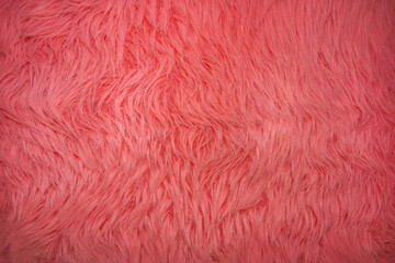 Fototapeta premium Soft pink fur fabric on display for home decor and fashion uses in a bright indoor setting