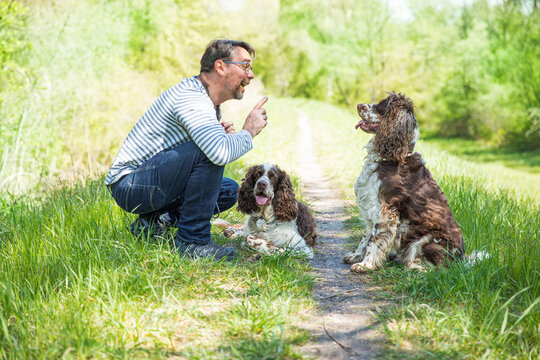 Man training dogs