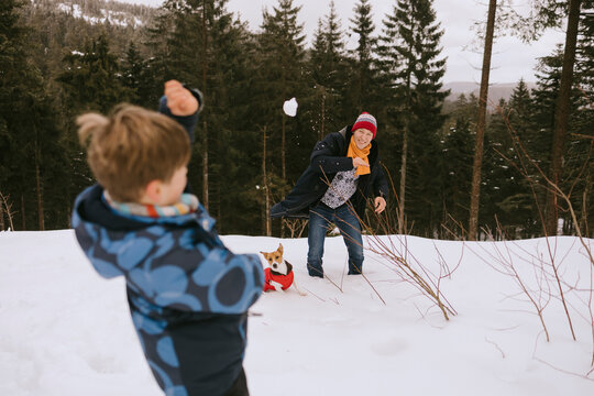 Father and son playing with snowballs near dog in winter forest