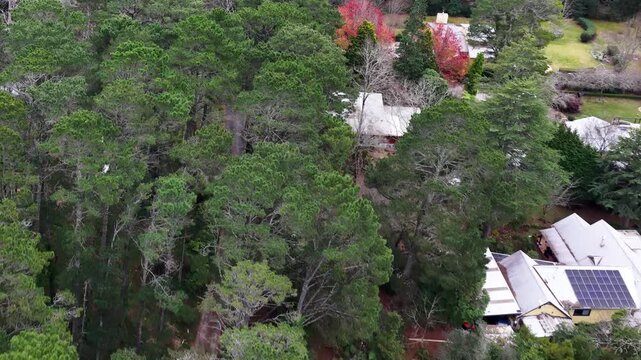Aerial View of Residential Houses Nestled in Lush Forest