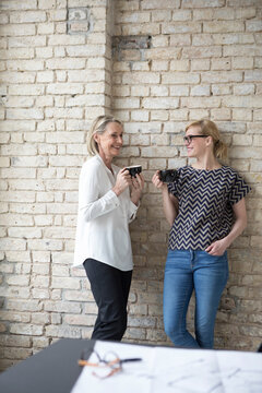 Mature businesswoman working with younger colleague in office