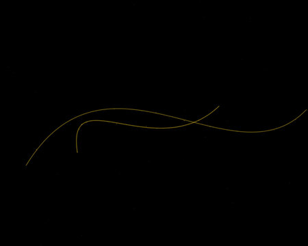 Elegant thin gold glowing wave lines on a dark black background for luxury design elements and abstract decorative overlays
