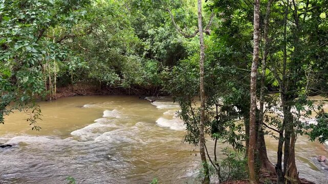 River Kaveri flowing gently through lush riverside woodland, framed by trees in a tranquil natural landscape in Karnataka, India