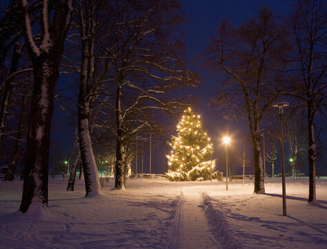 An illuminated Christmas tree stands in a snowy park at night