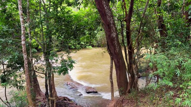 River Kaveri flowing gently through lush riverside woodland, framed by trees in a tranquil natural landscape in Karnataka, India