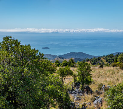 Takaka Hill, Tasman District, Tasman Bay, S&uuml;dinsel, Neuseeland, Karstlandschaft mit Fuscospora solandri und Kunzea ericoides, Blick &uuml;ber die Bucht, Panorama
